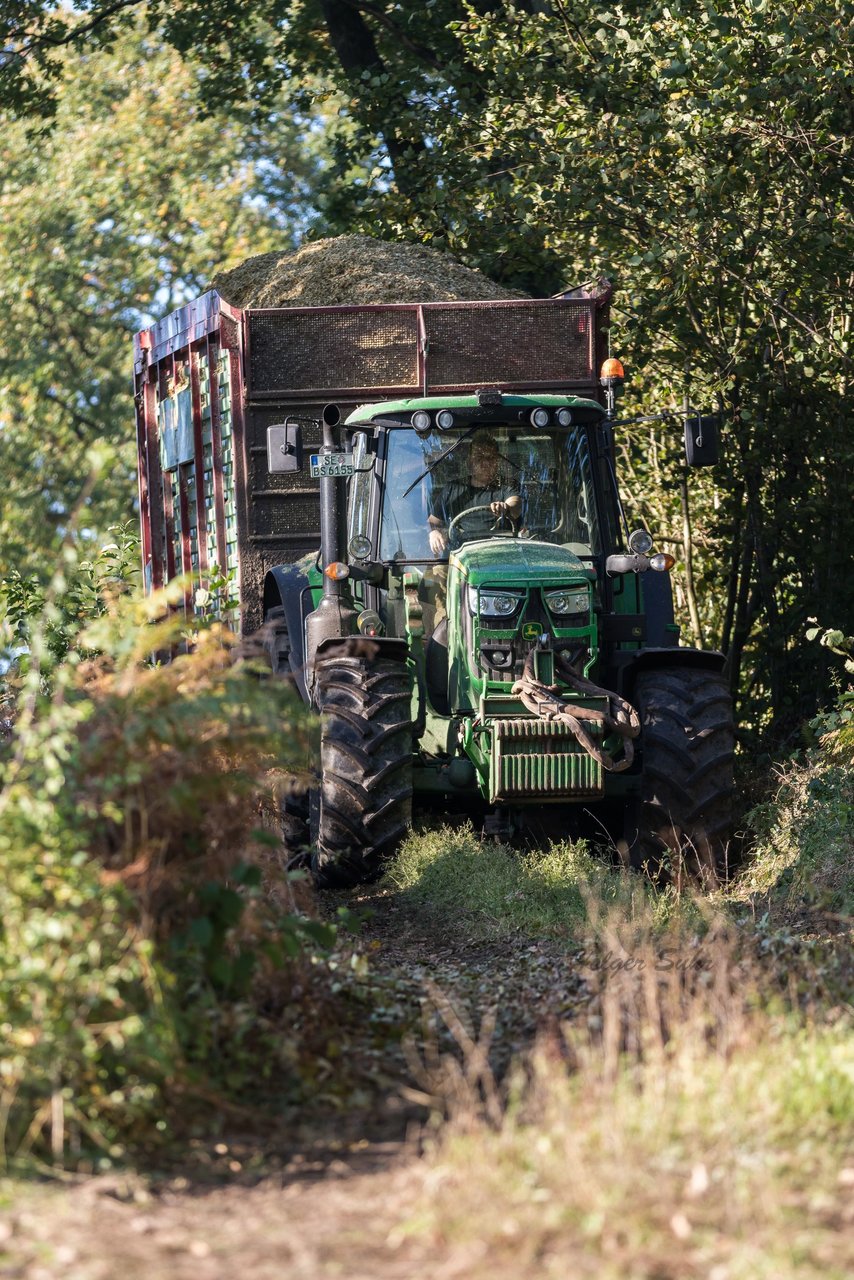 Bild 116 - Maisernte